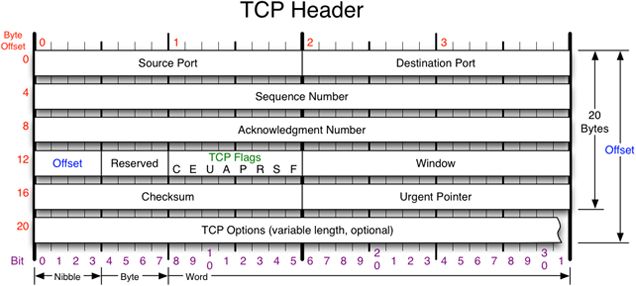 TCP 头部