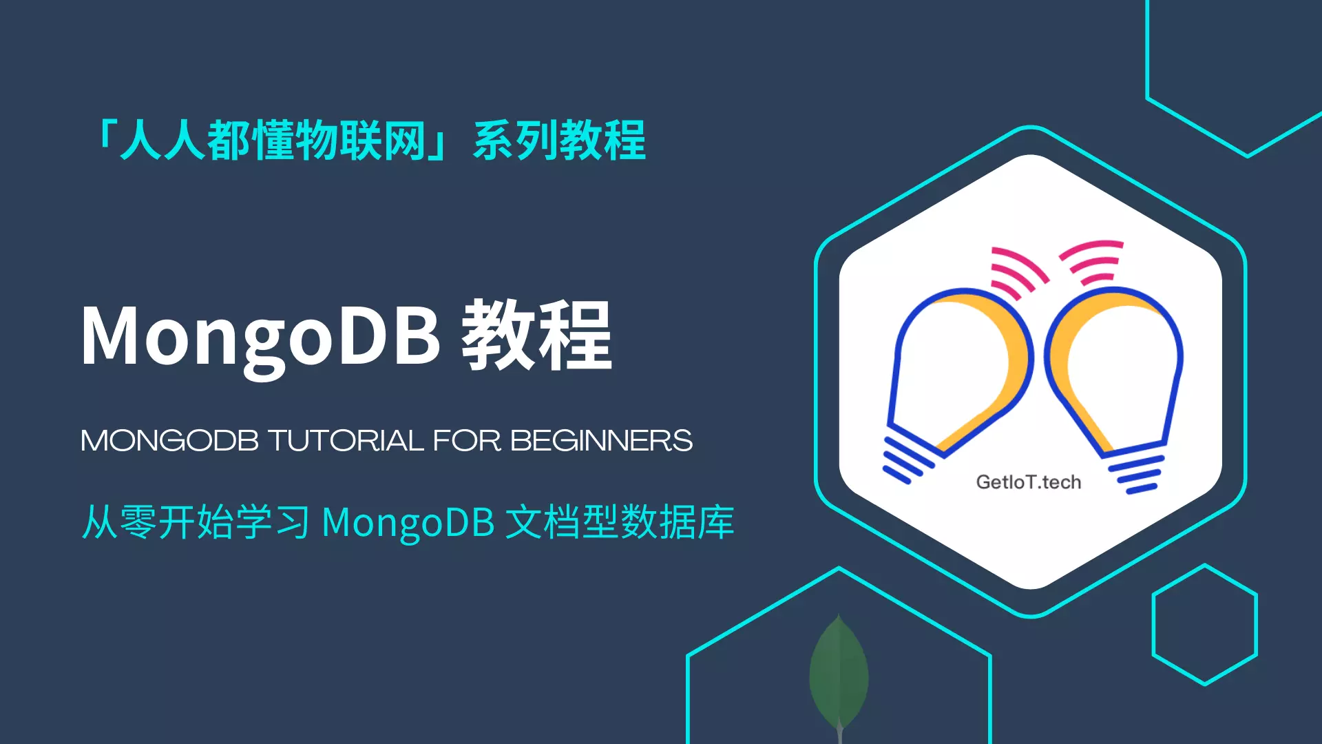 MongoDB 教程